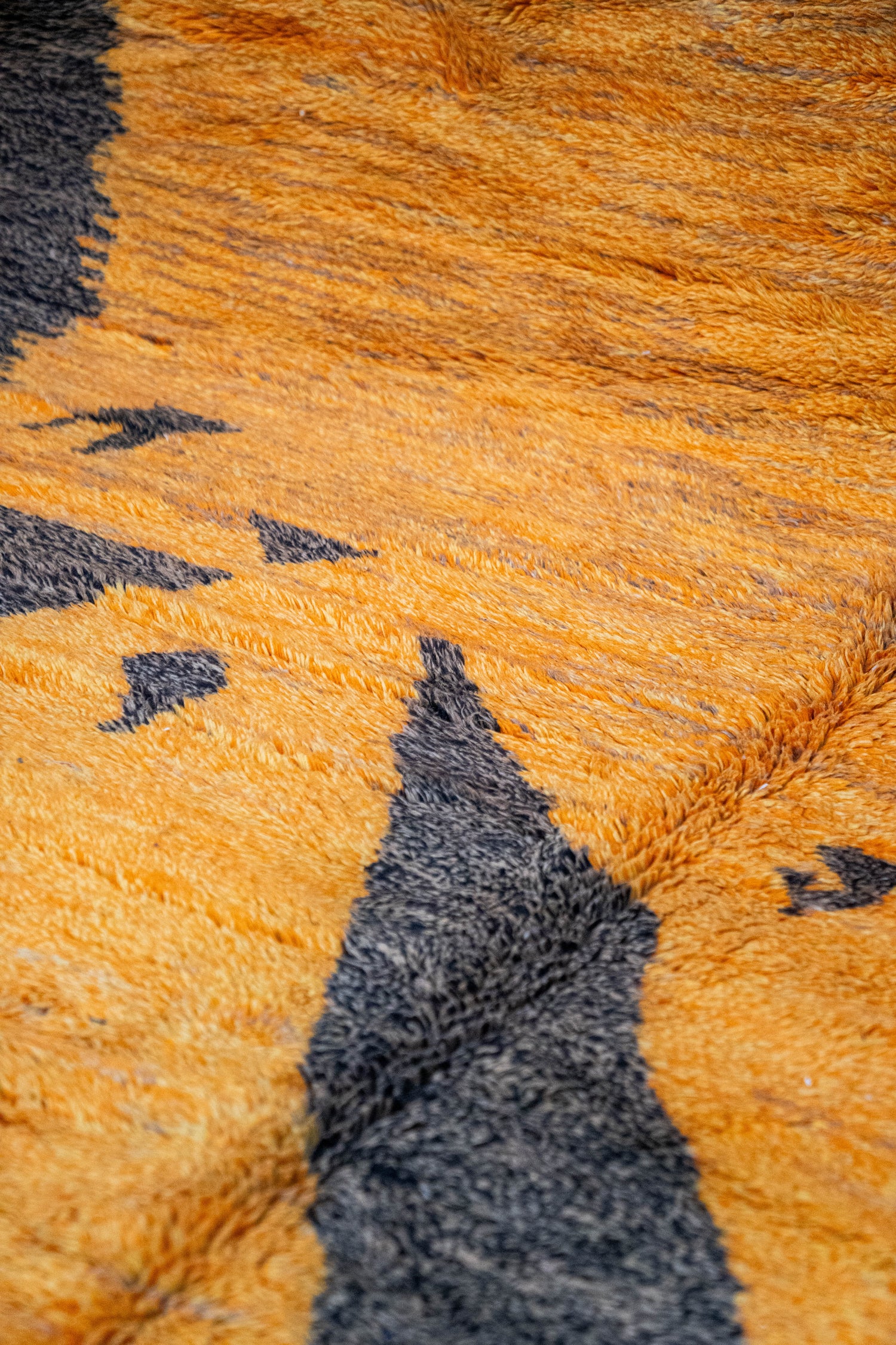 Tapis Coloré