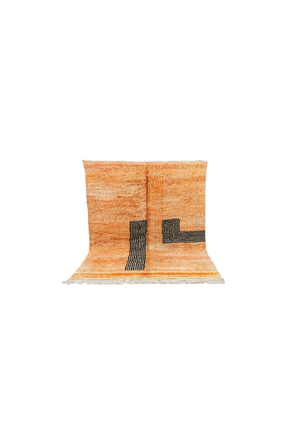 Tapis Tadott Rugs 7